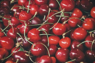 Summer Food Festivals in Idaho