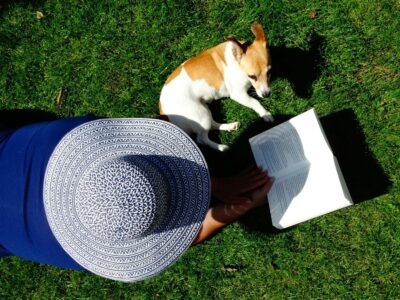 Summer Tips for Pet Owners